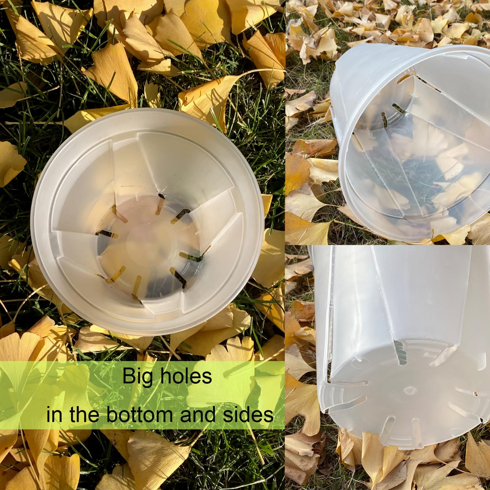 TineDew large clear nursery pot 8-inch with saucer perfect for mature houseplants and spacious roots.