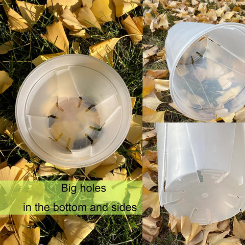 TineDew large clear nursery pot 8-inch with saucer perfect for mature houseplants and spacious roots.