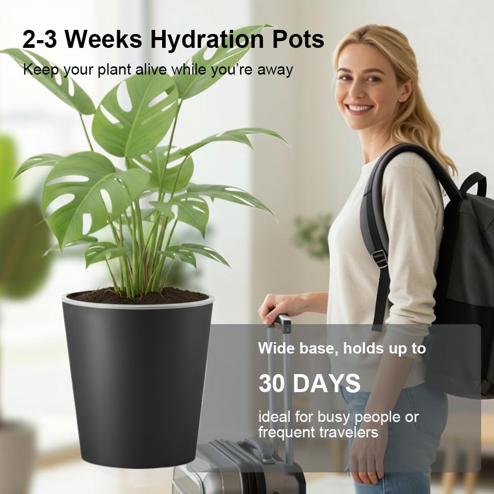 TineDew large reservoir provides weeks of hydration for indoor plants.