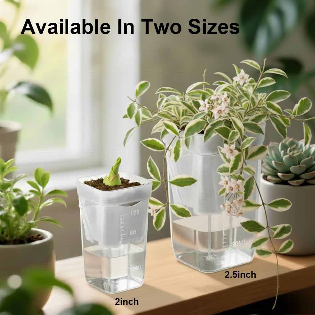 TineDew mini African violet-friendly propagation pot on a windowsill