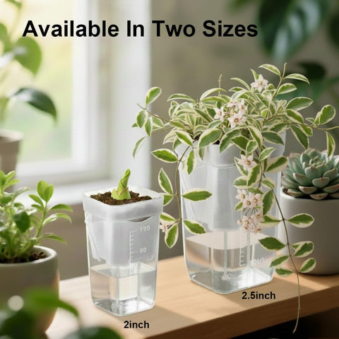 TineDew mini African violet-friendly propagation pot on a windowsill