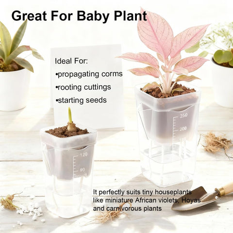 TineDew seedling pot ideal for propagating cuttings and tiny plants.