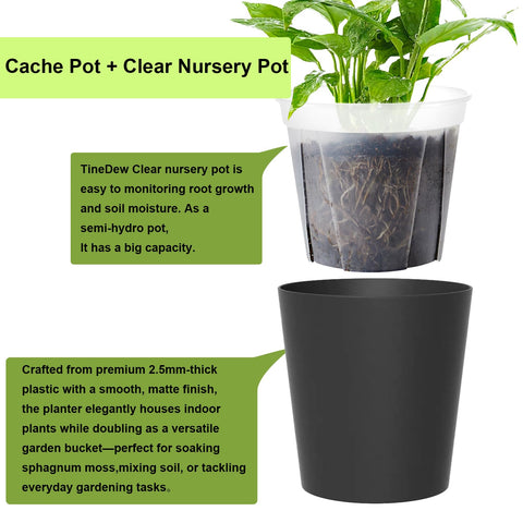 TineDew self-watering planter uses cotton wick for steady moisture delivery.