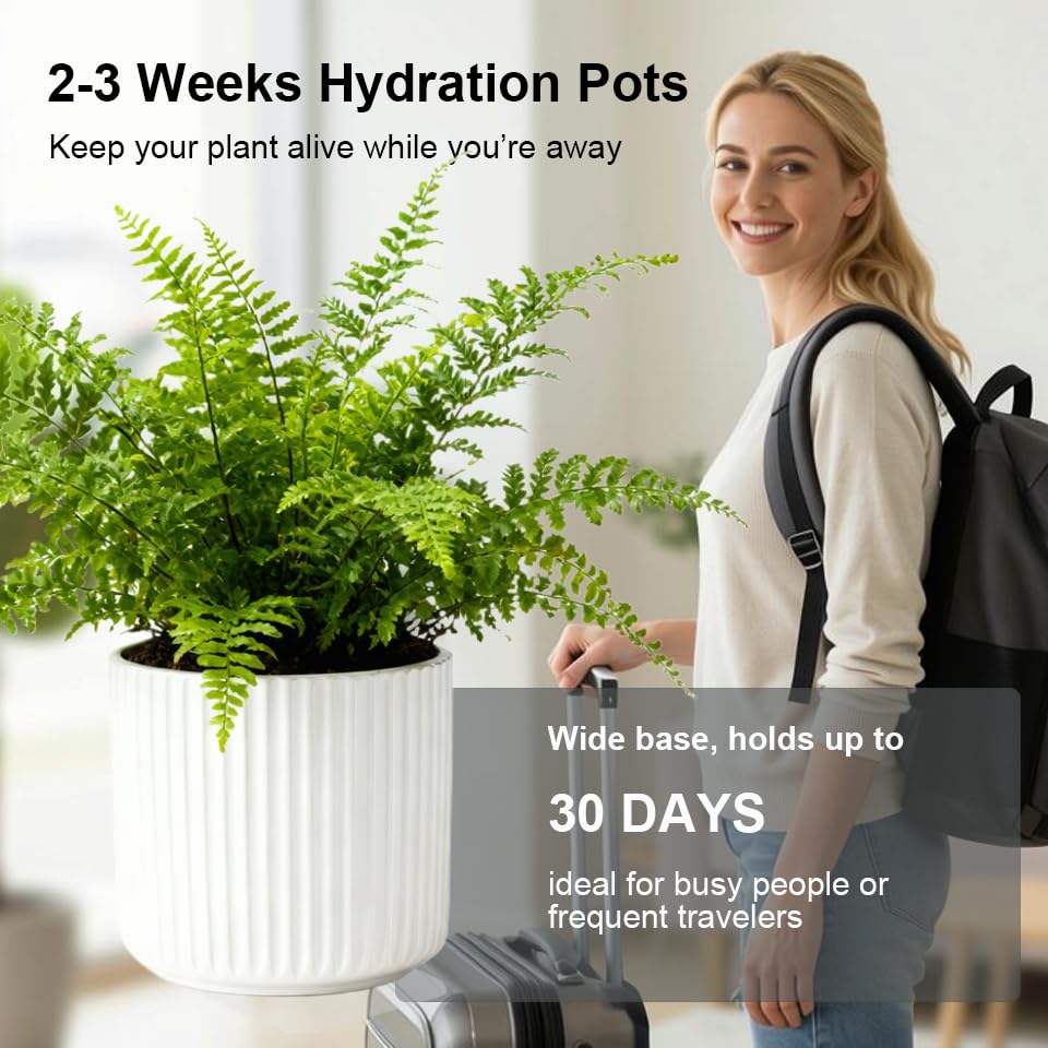 TineDew water reservoir sustains indoor plants for 2–3 weeks.