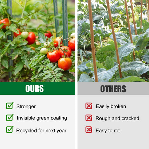 Tingyuan garden stake green coating blends with foliage while offering sturdy plant support.