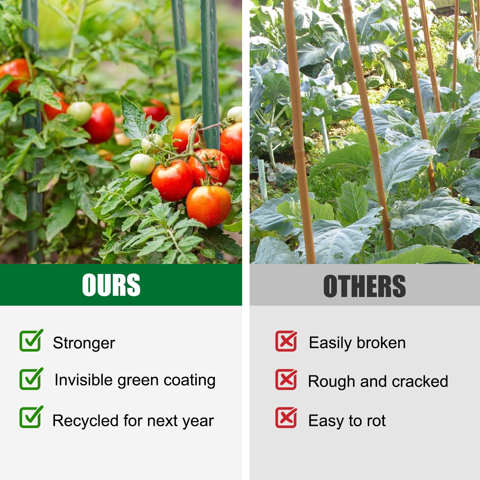 TINGYUAN plastic-coated steel stakes stay durable through seasons and weather
