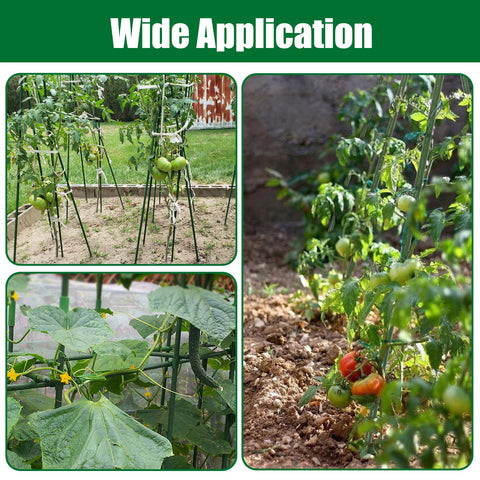 Tingyuan vine support stake shown securing plants with twine for stability.