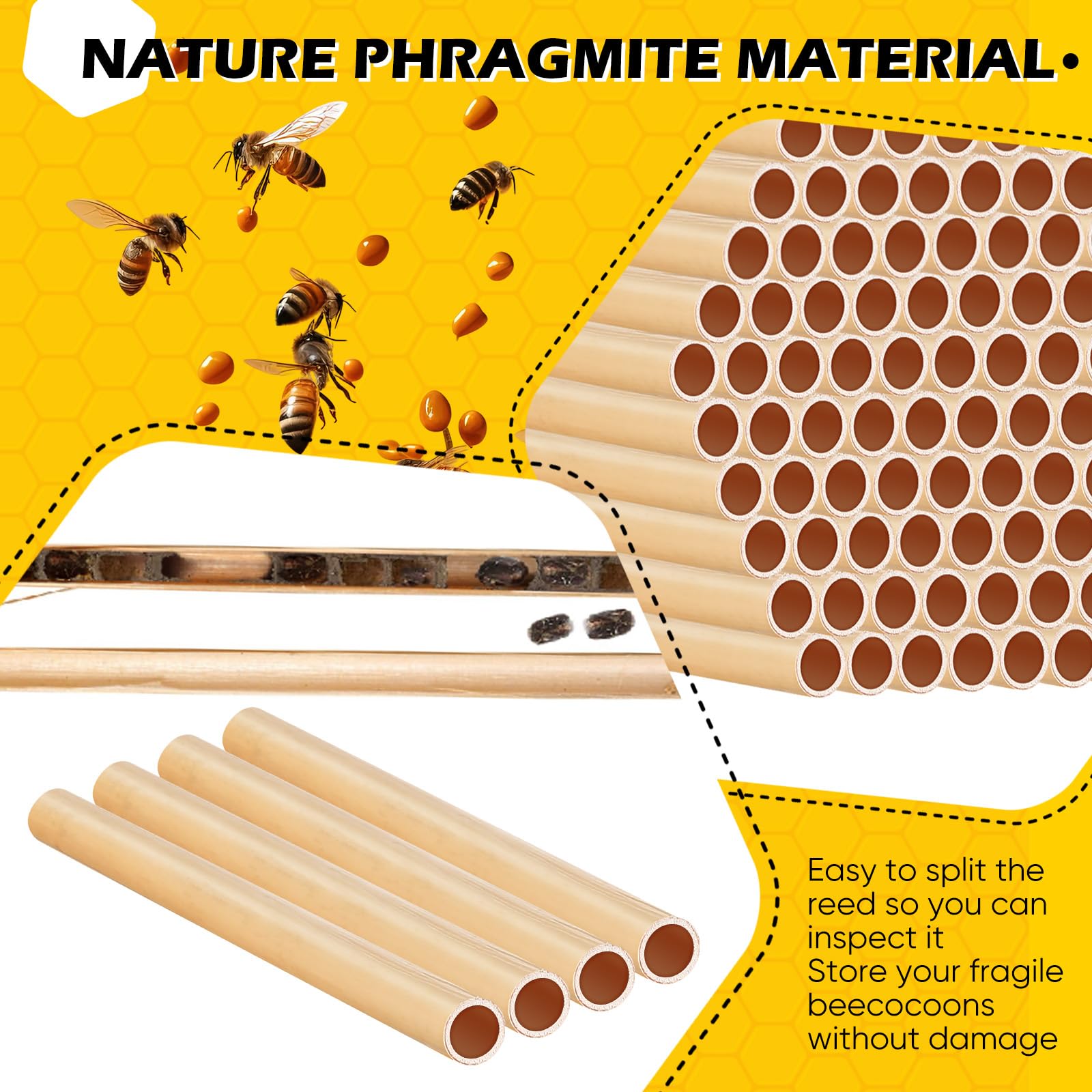 Tinideya bee hotel nest box enhances garden pollination with inviting nesting spots.