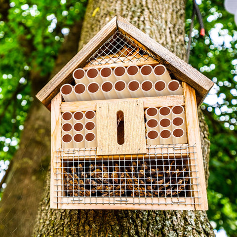 Tinideya durable reed materials resist warping for long-lasting bee housing.