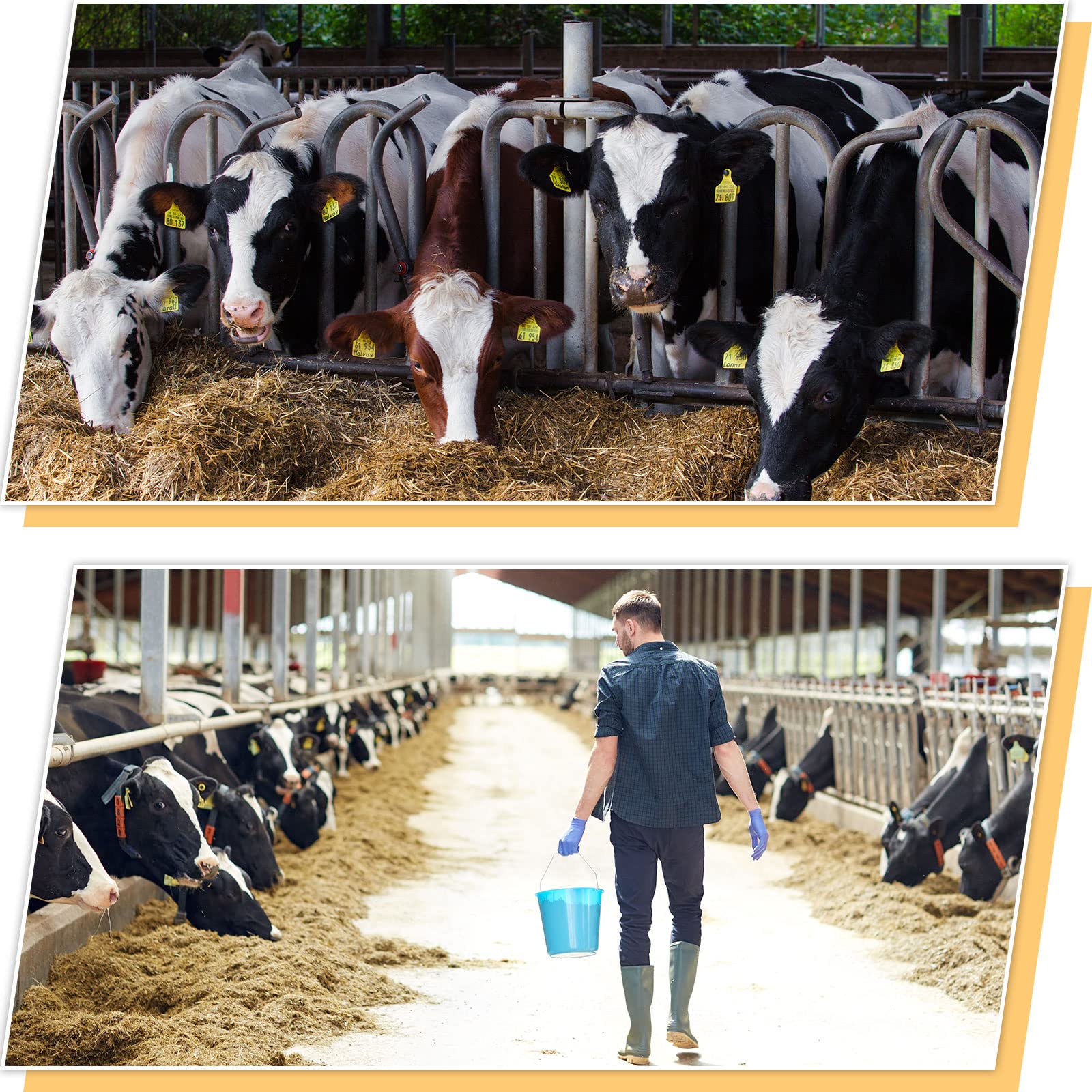 Tinlade livestock marking supplies kit suitable for farm tasks