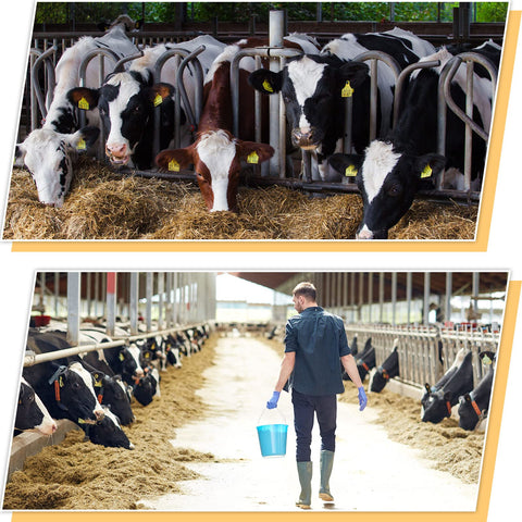 Tinlade livestock marking supplies kit suitable for farm tasks