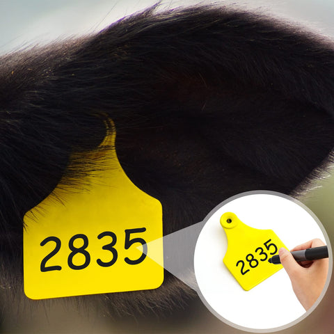 Tinlade plastic ear tagging tool designed for durable, long-lasting use