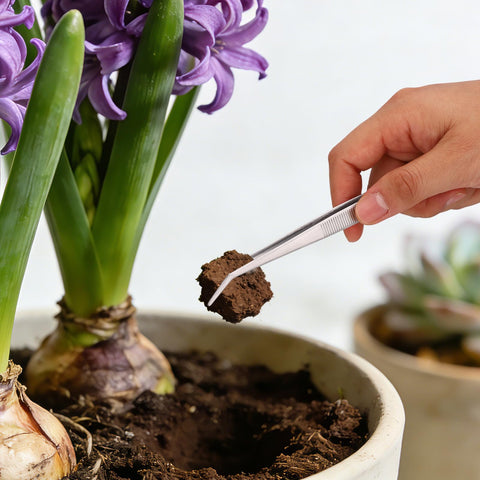 Tinoaly compact-storage tools keep gardening kit organized and portable.