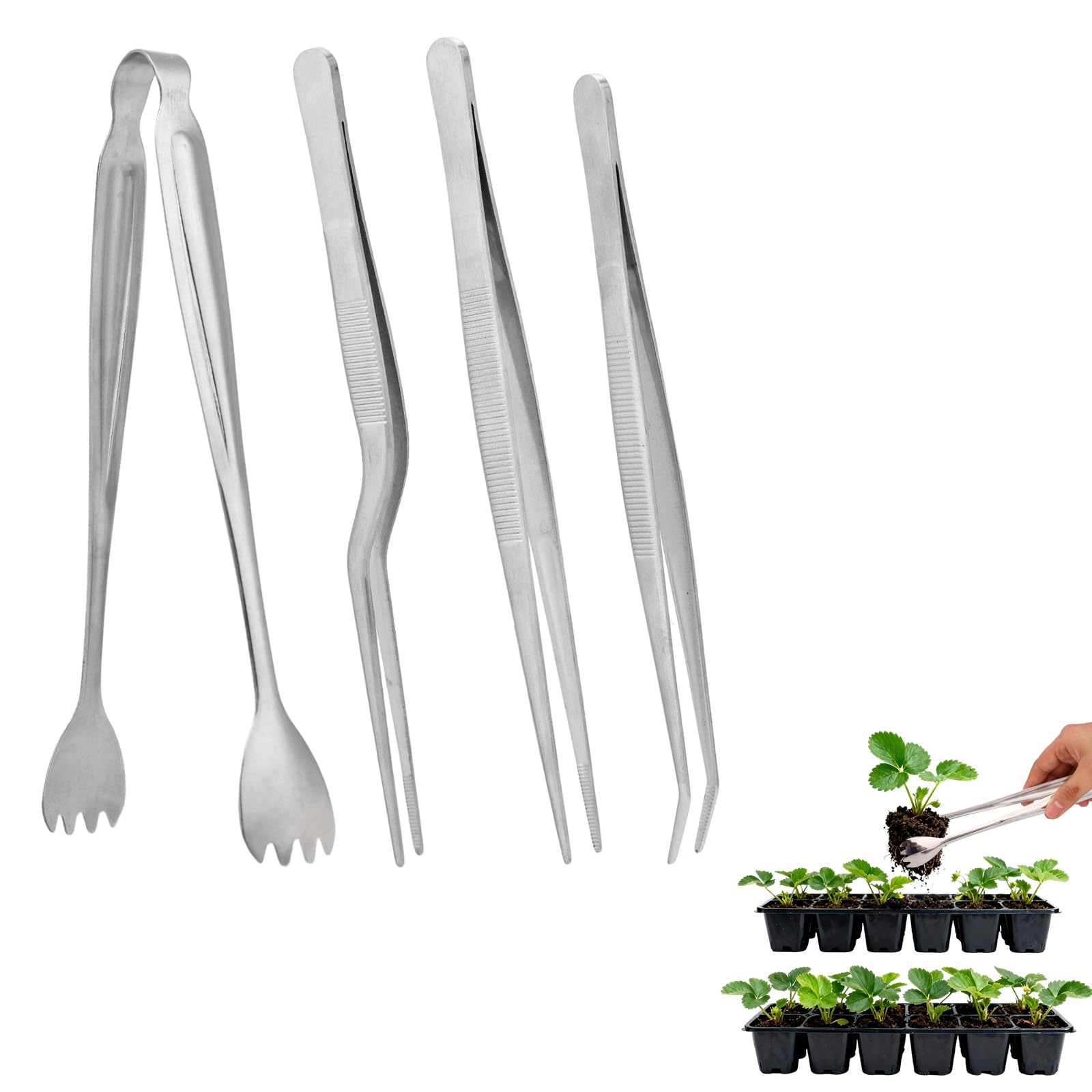 Tinoaly seedling transplant tong performing gentle root lifting for transplanting.