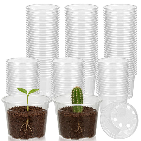 TINSKY 2-inch clear nursery pot with drainage holes for healthy seedling growth.