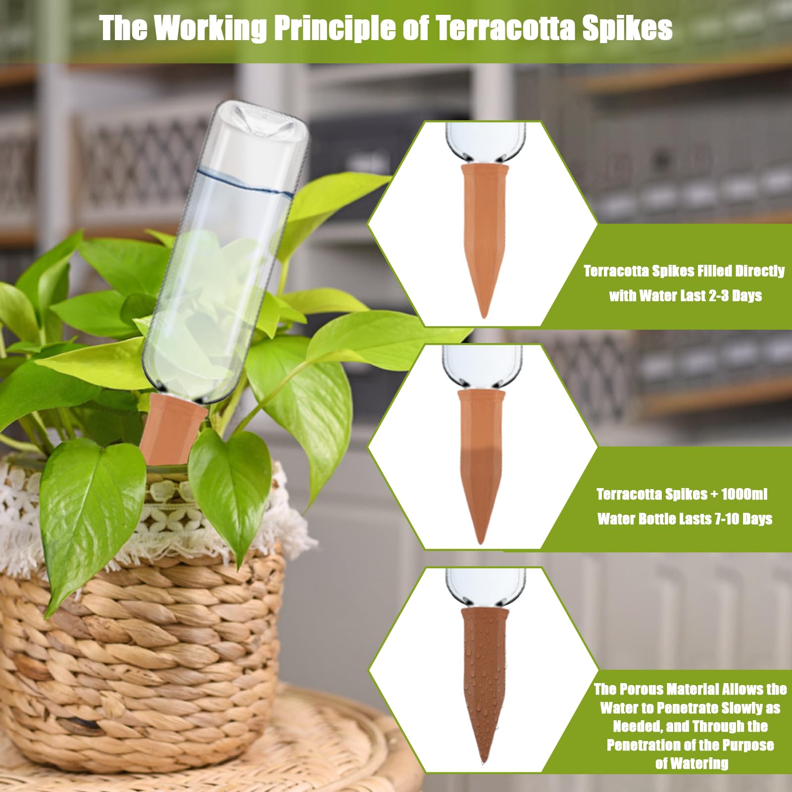 TINSKY self-watering system showing simple setup for hands-off care.