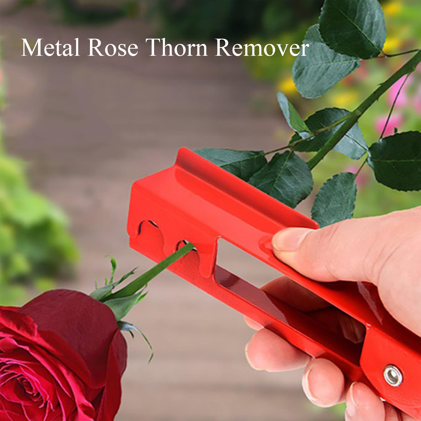TINNSANN Pruning Scissors for precise floristry cuts.