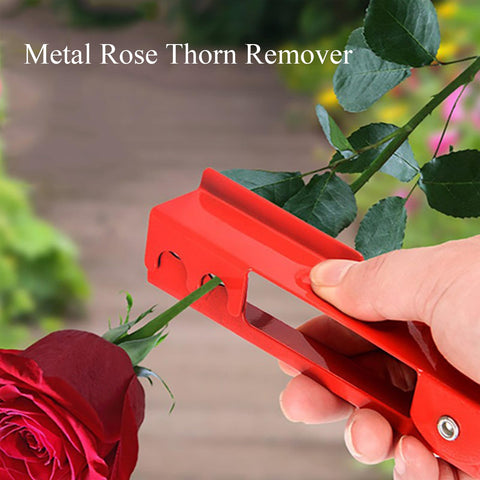 TINNSANN Pruning Scissors for precise floristry cuts.
