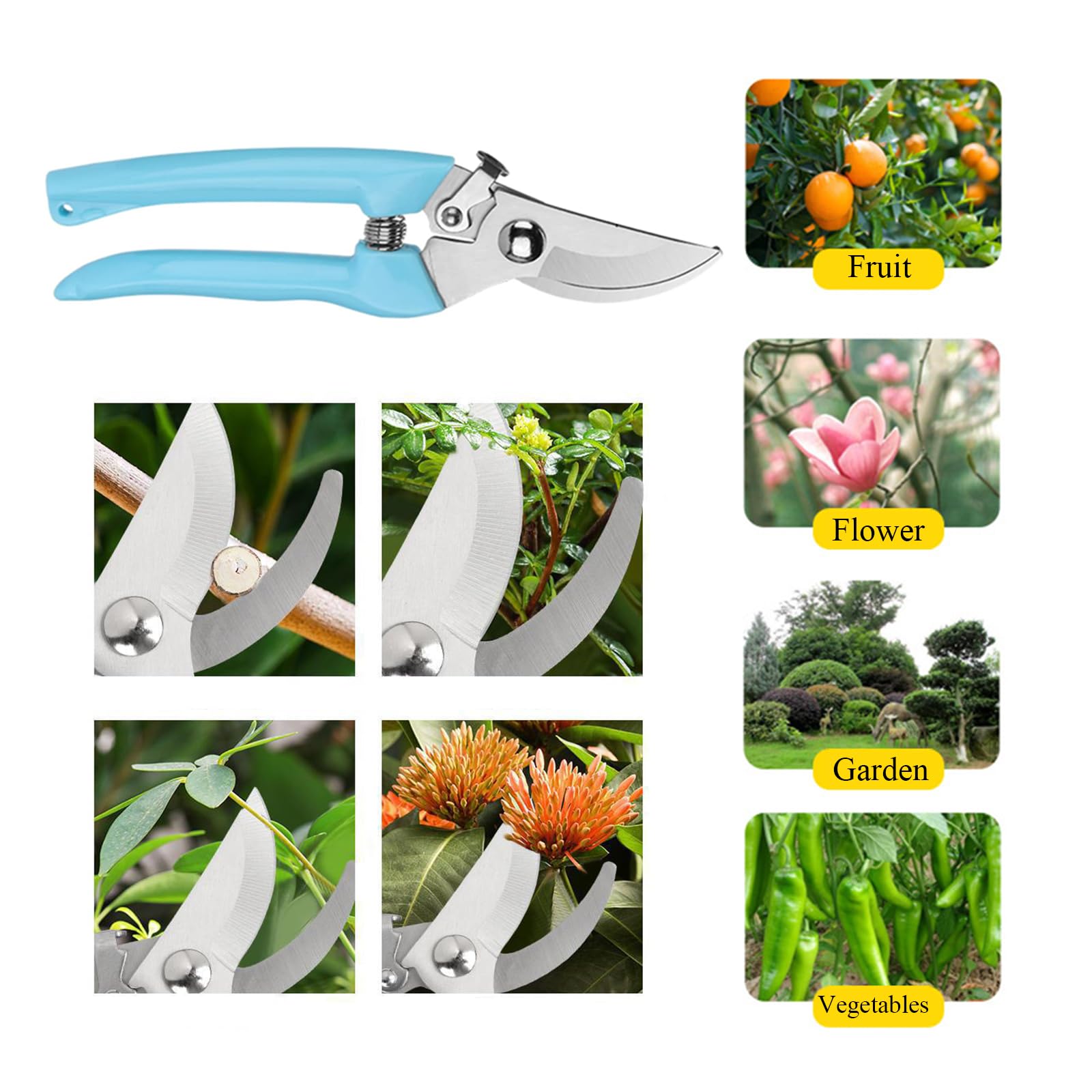TINNSANN Stainless steel burrs pliers for safe thorn handling.