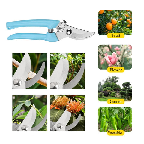 TINNSANN Stainless steel burrs pliers for safe thorn handling.