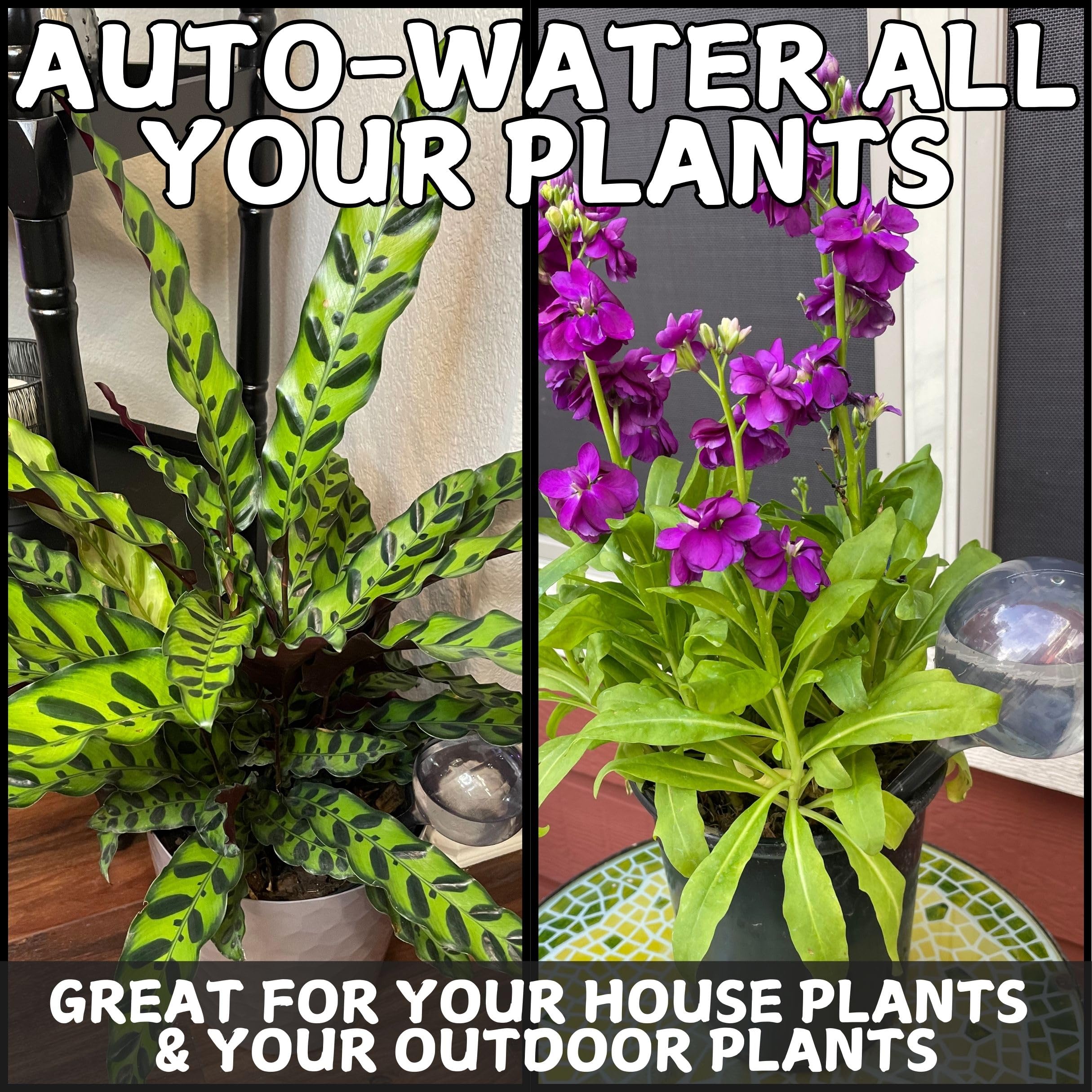 Tiny Terrains self-watering system reduces maintenance for busy gardeners.