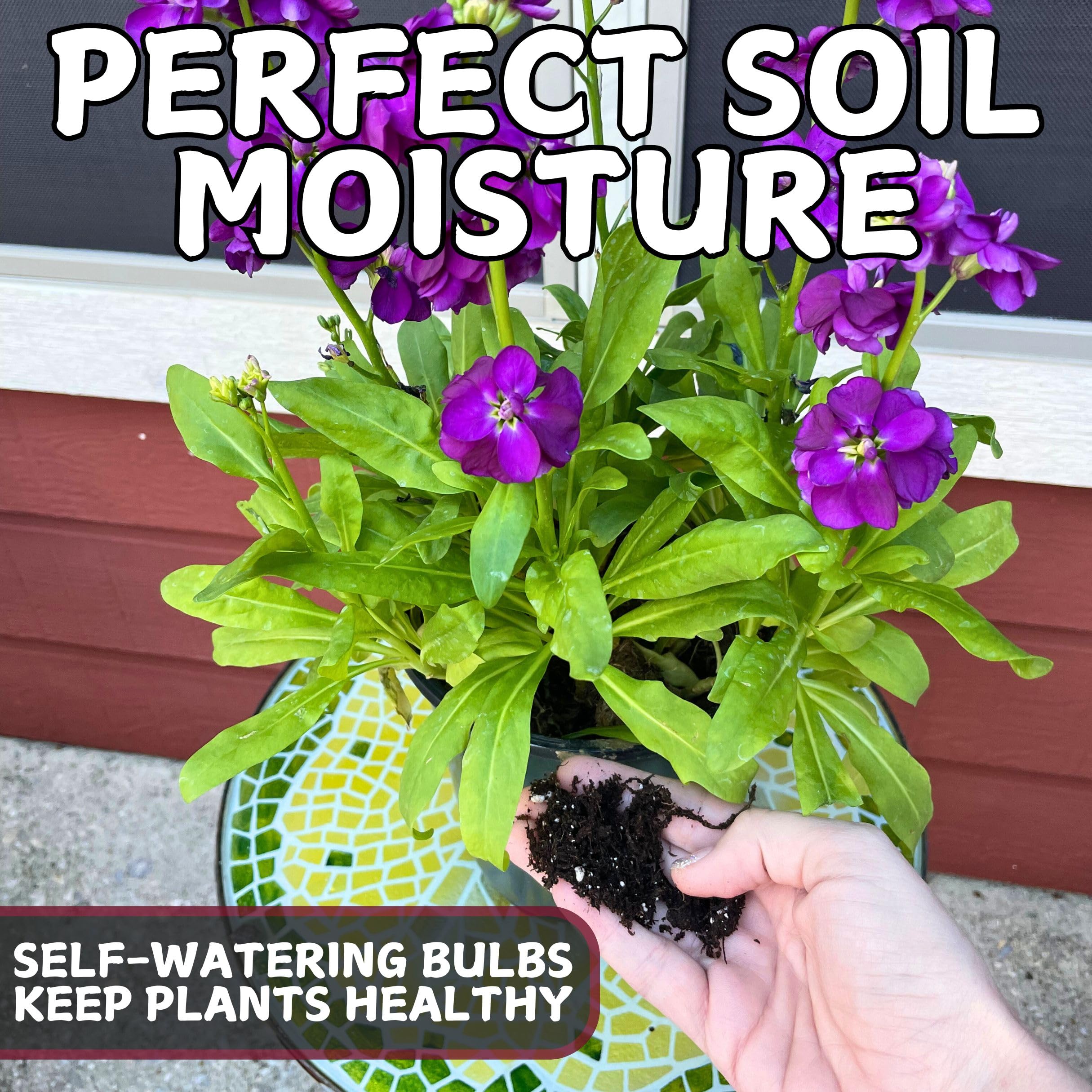 Tiny Terrains shatterproof water bulbs safely used indoors and outdoors.
