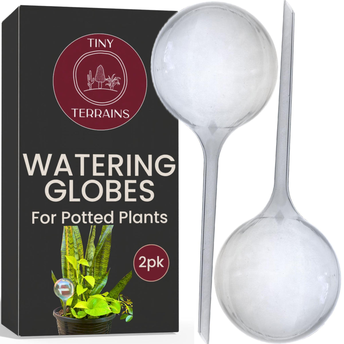 Tiny Terrains water globes being refilled for easy use and consistent moisture.