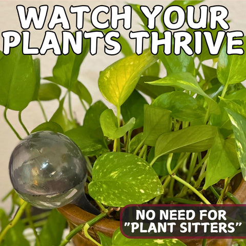 Tiny Terrains weatherproof globes ready for outdoor use on planters.