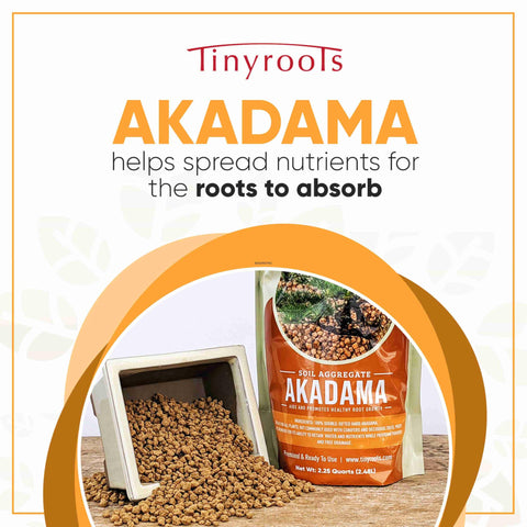 Tinyroots Akadama 1-8 mesh detail shows fine grain for aeration.