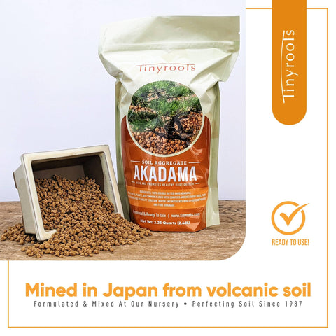 Tinyroots Akadama supports drainage and air around bonsai roots.