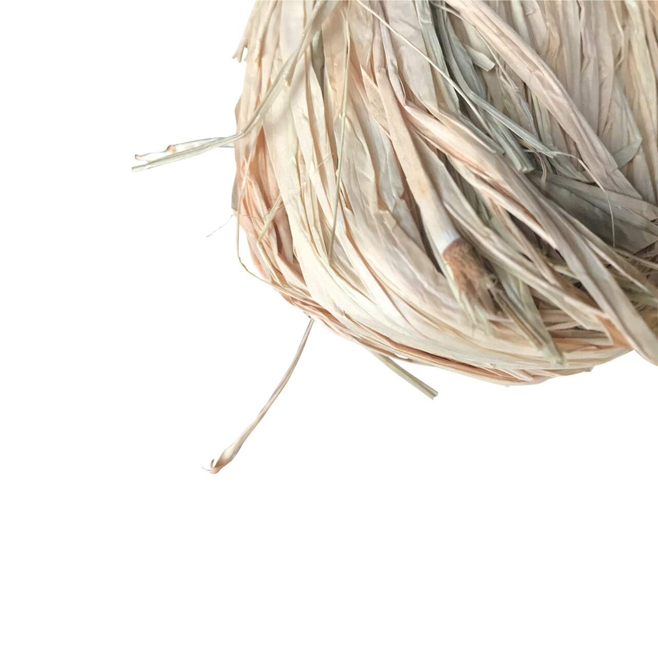 Tinyroots Bonsai Raffia shaping aid enables natural downward branch positioning