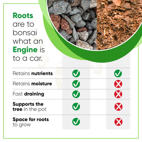 Tinyroots Bonsai Soil Mix ingredients closeup featuring slate, bark, pumice, lava