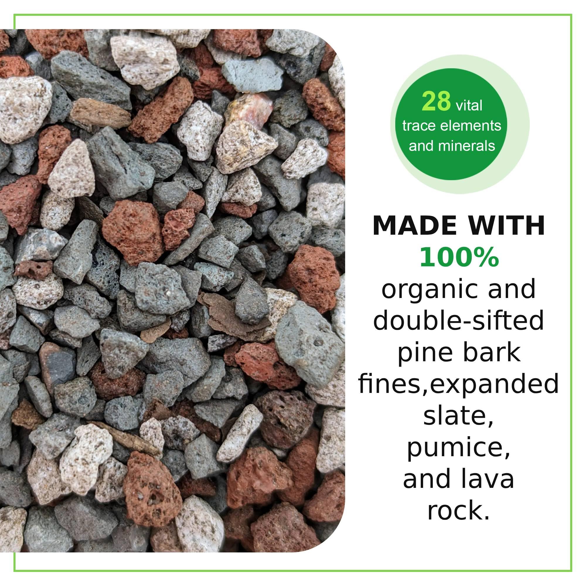 Tinyroots Bonsai tree in pot with soil mix demonstrating root-friendly base