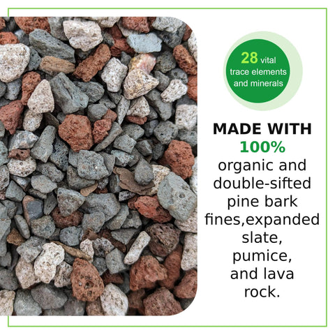 Tinyroots Bonsai tree in pot with soil mix demonstrating root-friendly base