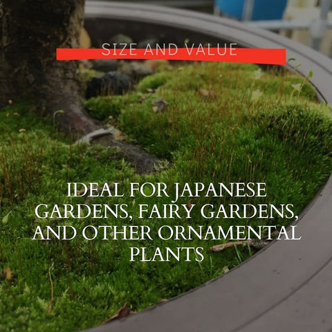 Growing guide included with Tinyroots moss spores.