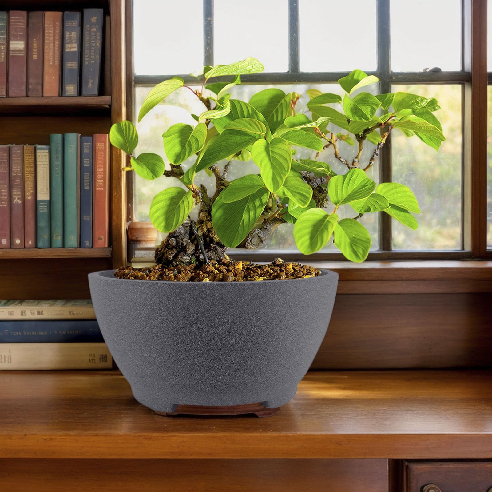 TinyVISTA ceramic porous material emphasized for plant health benefits.