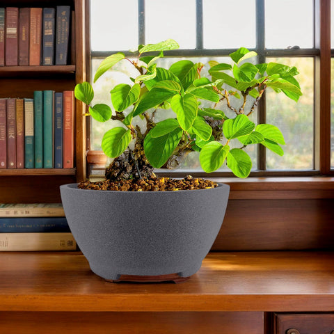 TinyVISTA ceramic porous material emphasized for plant health benefits.