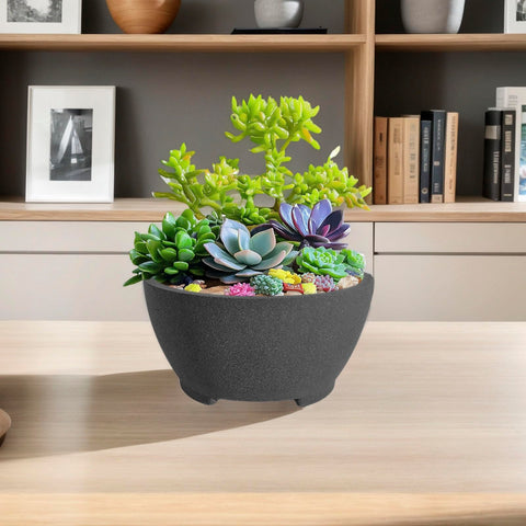 TinyVISTA indoor planter blending with modern home decor.