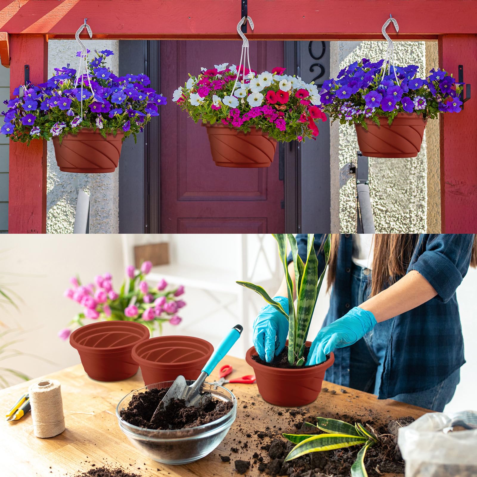 50-pack of coffee planters ready to decorate indoor and outdoor spaces.
