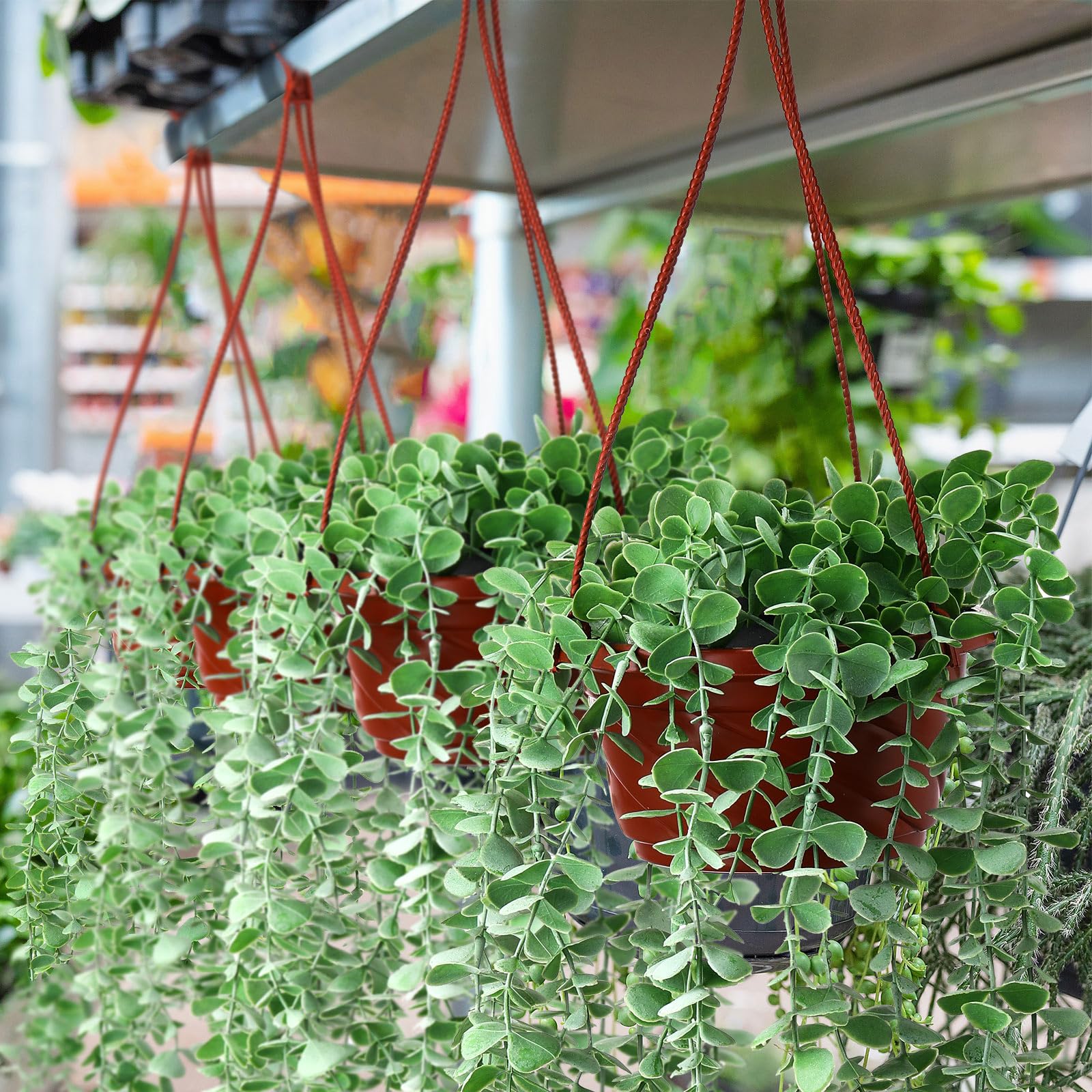 Ideal for balcony and garden decor with the Tioncy coffee hanging pot.