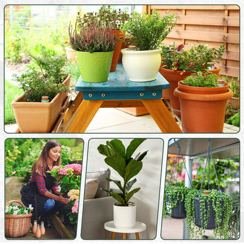 Tioncy water spike for large planters and patio plants