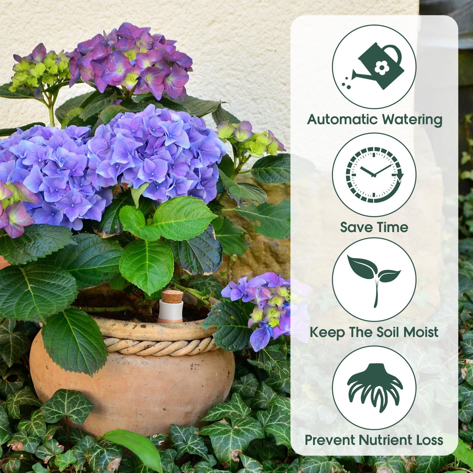 Tioncy watering spike used outdoors delivering slow moisture to plants