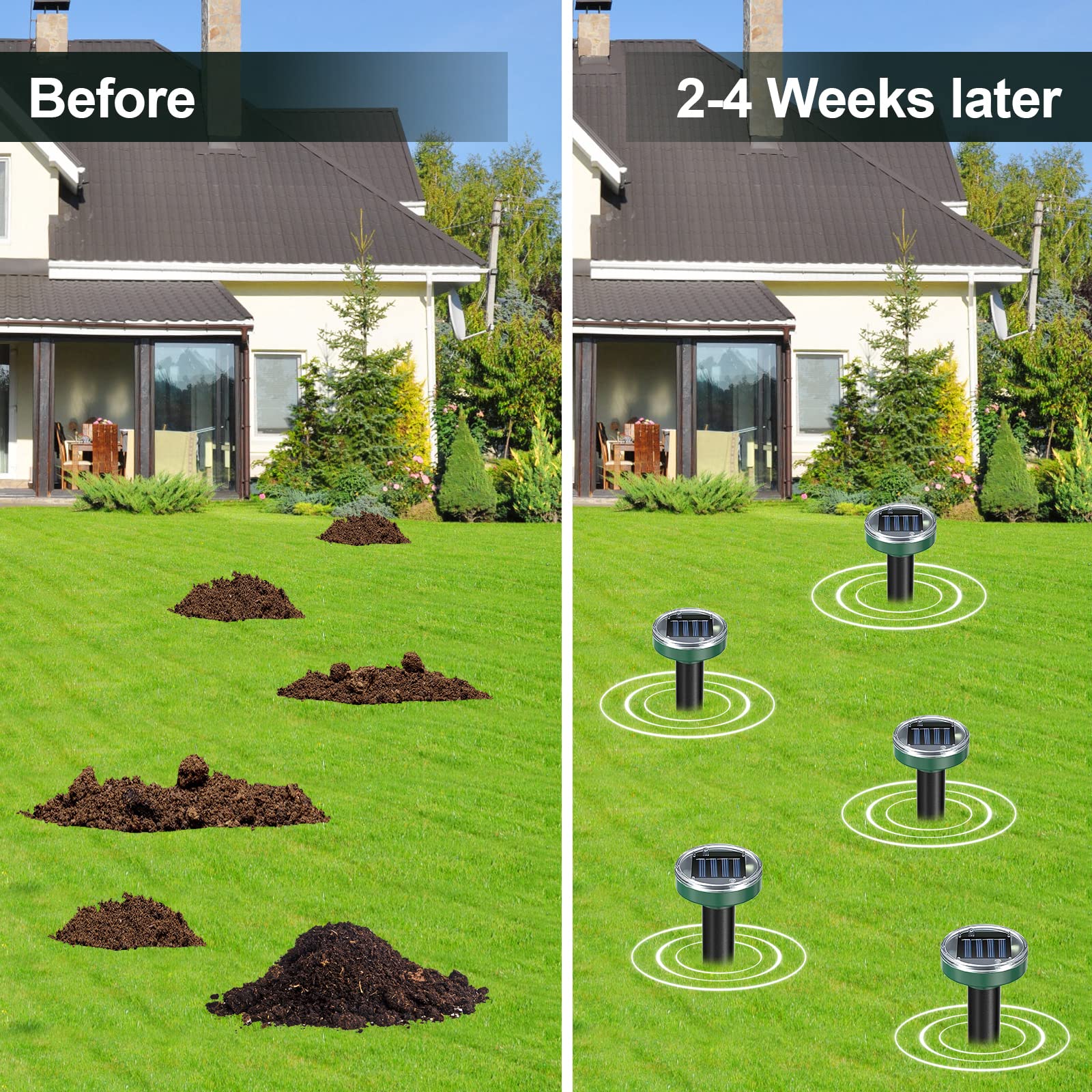 Tirgo 12PCAK weatherproof mole stake withstands rain and snow outdoors.
