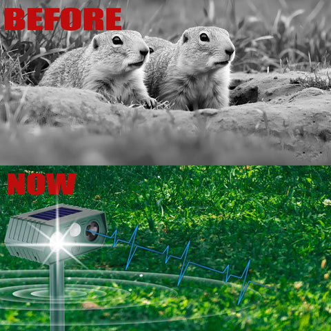 Tirgo LED flash activation demo, highlights nighttime deterrence for yard safety.