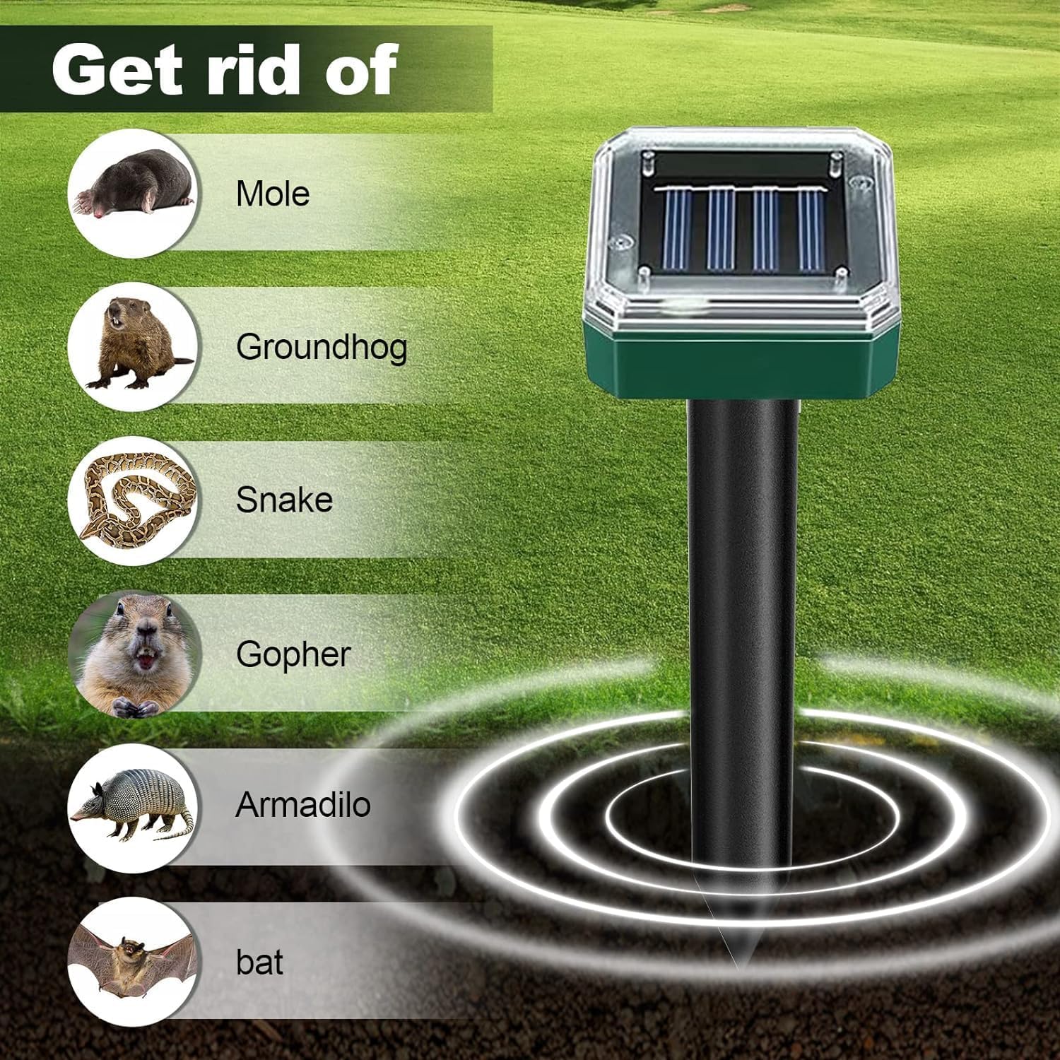 8-pack Tirgo solar stakes ready for yard-wide coverage.