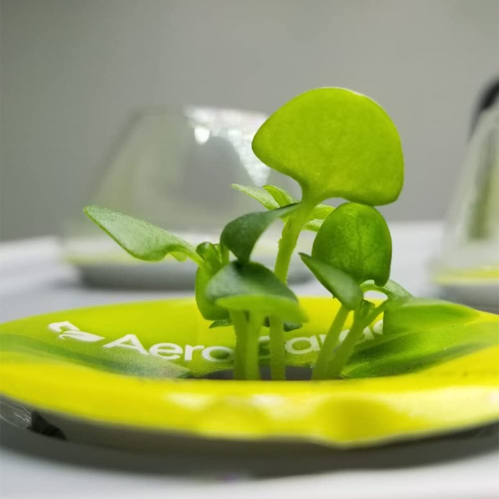 TISOHUGO 50-pack enables bulk AeroGarden seed starting projects.