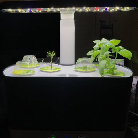 TISOHUGO Compatible with AeroGarden basket for direct-use seed growing.
