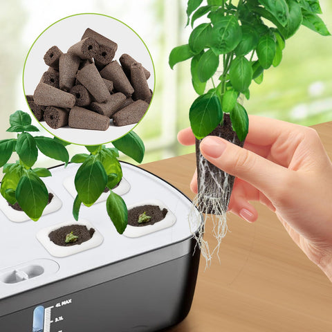 TISOHUGO seed pods positioned for growing basil and tomatoes.