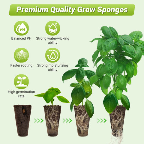 TISOHUGO complete seed-start kit with sponges and labels for efficient setup.