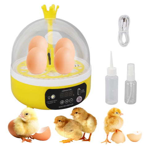 Tissting 4 Eggs Mini Incubator with transparent lid for home observation of egg development